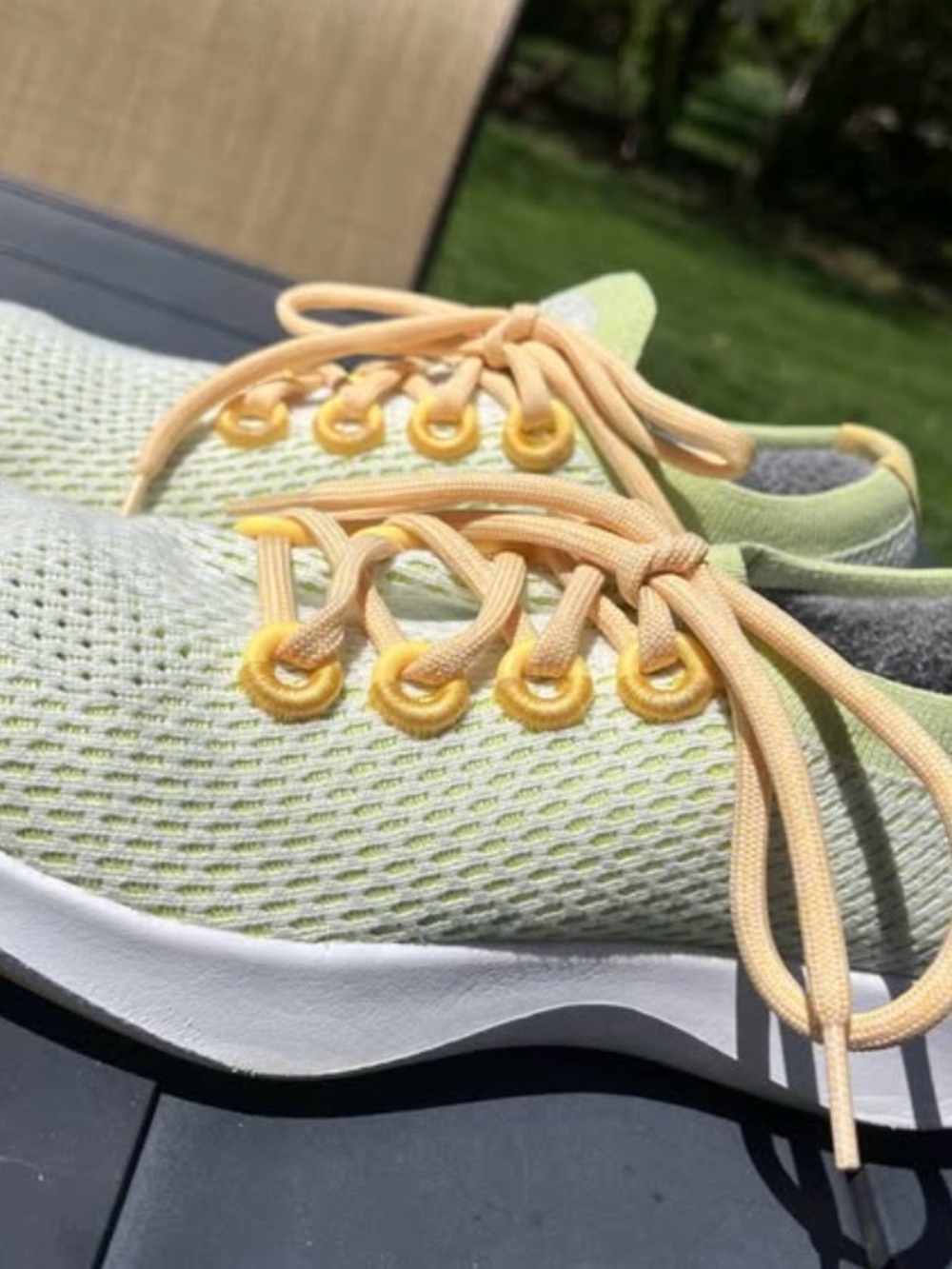 allbirds Women's Knit Runner in Light Green with Yellow Accents